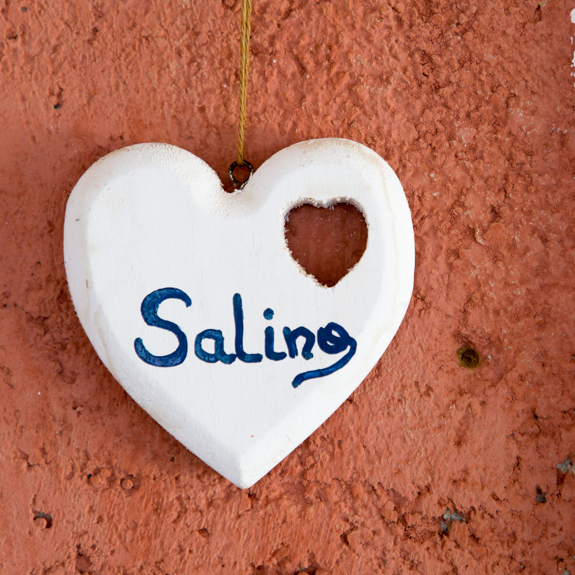 salina-feature
